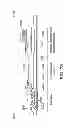 Fig. 24 - Liquid crystal display device and electronic apparatus