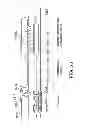 Fig. 34 - Liquid crystal display device and electronic apparatus