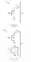 Fig. 02 - Non-volatile memory with split write and read bitlines