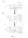 Fig. 35 - Deployment of hierarchical managed switching elements