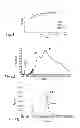 Fig. 03 - Pulsed supercontinuum source of variable pulse duration