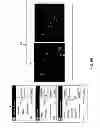 Fig. 10 - Image processing system providing selective arrangement and configuration for an image analysis sequence