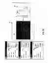 Fig. 12 - Image processing system providing selective arrangement and configuration for an image analysis sequence