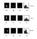 Fig. 06 - Gesture recognition system using depth perceptive sensors