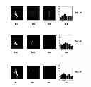 Fig. 07 - Gesture recognition system using depth perceptive sensors