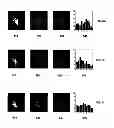 Fig. 08 - Gesture recognition system using depth perceptive sensors