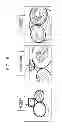 Fig. 15 - Information processor, information processing method, and program