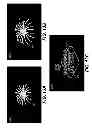Fig. 14 - EVENT CLASSIFICATION METHOD FOR RELATED DIGITAL IMAGES