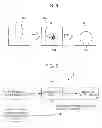 Fig. 06 - Image processing apparatus and method, and program
