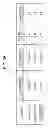 Fig. 33 - Image processing apparatus and method, and program