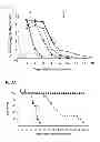 Fig. 02 - Anti-HSV antibody