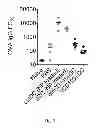 Fig. 02 - ANTIGEN-SPECIFIC INDUCED TOLEROGENIC DENDRITIC CELLS TO REDUCE ANTIBODY RESPONSES