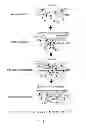 Fig. 02 - METHODS AND COMPOSITIONS FOR ENHANCING WOUND HEALING USING CAR PEPTIDES
