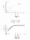 Fig. 08 - Bupropion hydrobromide polymorphs