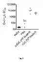 Fig. 02 - COMPOSITIONS AND METHODS FOR PRODUCING ANTIGEN-SPECIFIC INDUCED TOLEROGENIC DENDRITIC CELLS WITH SYNTHETIC NANOCARRIERS