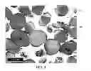 Fig. 02 - Method to generate and disperse nanostructures in a composite material