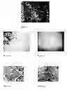 Fig. 06 - PRIMING AND COATING PROCESS