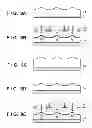 Fig. 08 - Photoresist pattern forming method, and microlens array forming method