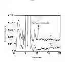 Fig. 03 - Method for producing glucuronic acid conjugate using 