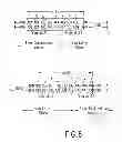 Fig. 07 - Compositions for use in recombinational cloning of nucleic acids
