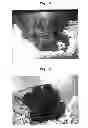 Fig. 03 - METHOD FOR PREPARING ES CELLS