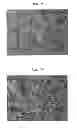 Fig. 06 - METHOD FOR PREPARING ES CELLS