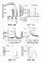 Fig. 08 - Identification of a Genetic Risk Factor for Diabetes