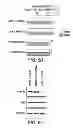 Fig. 10 - Identification of a Genetic Risk Factor for Diabetes