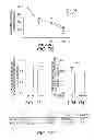 Fig. 15 - Identification of a Genetic Risk Factor for Diabetes