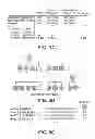 Fig. 16 - Identification of a Genetic Risk Factor for Diabetes
