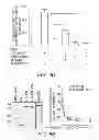 Fig. 17 - Identification of a Genetic Risk Factor for Diabetes