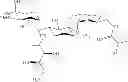 Fig. 167 - Aminoglycoside derivatives