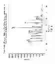 Fig. 02 - Pharmaceutical compositions comprising forms of 5-azacytidine