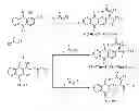 Fig. 01 - 1, 2-disubstituted amido-anthraquinone derivatives, preparation method and application thereof