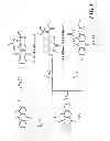 Fig. 02 - 1, 2-disubstituted amido-anthraquinone derivatives, preparation method and application thereof