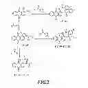 Fig. 03 - 1, 2-disubstituted amido-anthraquinone derivatives, preparation method and application thereof