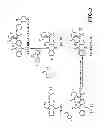 Fig. 04 - 1, 2-disubstituted amido-anthraquinone derivatives, preparation method and application thereof