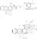 Fig. 19 - 1, 2-disubstituted amido-anthraquinone derivatives, preparation method and application thereof