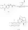 Fig. 24 - 1, 2-disubstituted amido-anthraquinone derivatives, preparation method and application thereof