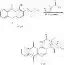 Fig. 29 - 1, 2-disubstituted amido-anthraquinone derivatives, preparation method and application thereof