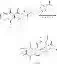 Fig. 32 - 1, 2-disubstituted amido-anthraquinone derivatives, preparation method and application thereof
