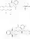 Fig. 43 - 1, 2-disubstituted amido-anthraquinone derivatives, preparation method and application thereof