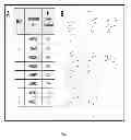 Fig. 08 - Compositions and methods for cancer detection and treatment