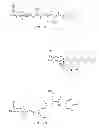 Fig. 07 - Natural flavour enhancers from 
