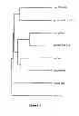 Fig. 05 - Synthesis of long-chain polyunsaturated fatty acids by recombinant cell