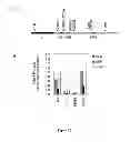 Fig. 13 - Synthesis of long-chain polyunsaturated fatty acids by recombinant cell