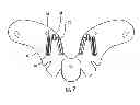 Fig. 09 - Cervical collar with cable reel adjustment system