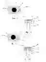Fig. 07 - Multilayer One-Piece Pacifier
