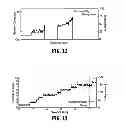 Fig. 09 - Network element consolidation for rapid discrete network simulations