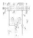 Fig. 02 - Signature checking using deterministic finite state machines